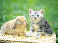 �C���[�W03